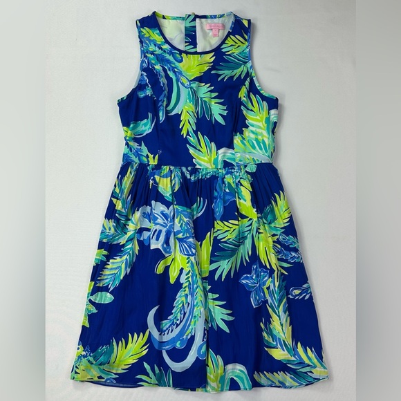 Lilly Pulitzer Kassia Fit and Flare Dress Size 4 - Picture 3 of 7